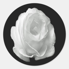 Adesivo Redondo rosa branco sobre fundo preto