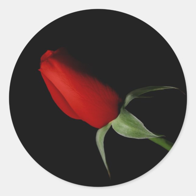 Adesivo Redondo Rosa Bud Stickers - Selo de Envelope de Casamento (Frente)