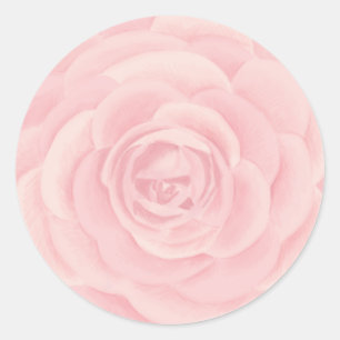 Adesivo Redondo Rosa de Aquarela Rosa