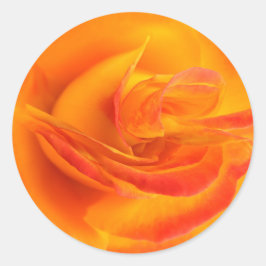Adesivo Redondo Rosa de cor laranja
