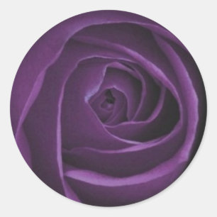 Adesivo Redondo Rosa de Design