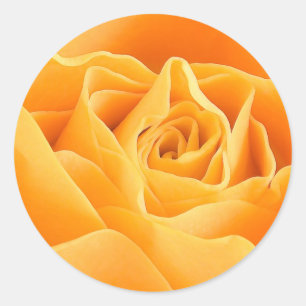 ADESIVO REDONDO ROSA DE LARANJA