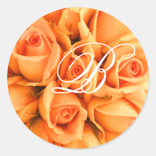 Adesivo Redondo Rosa de Peach Modelo de Sticker