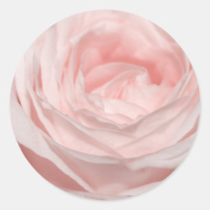 Adesivo Redondo Rosa do rosa de Romantica
