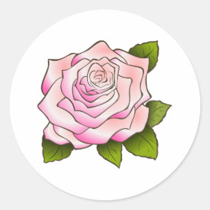 Adesivo Redondo Rosa do rosa do vintage que tira em volta da