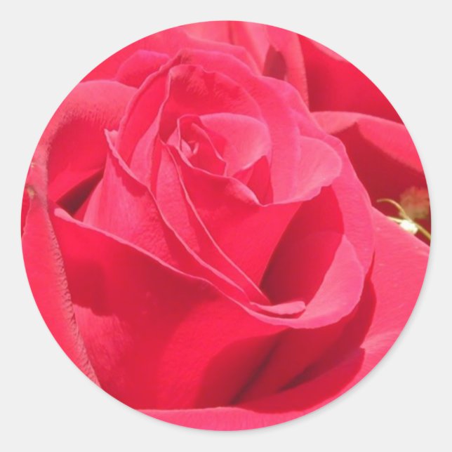 Adesivo Redondo Rosa e selos de envelopes (Frente)