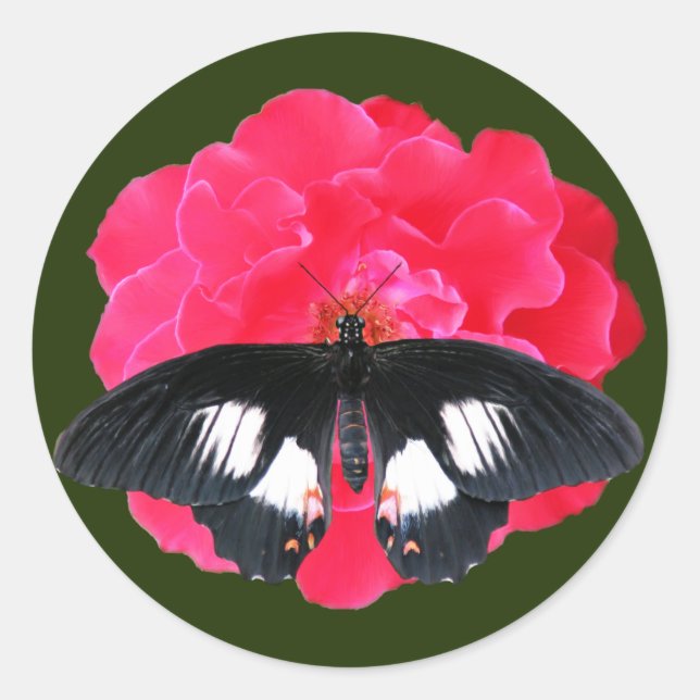 Adesivo Redondo Rosa e Swallowtail (Frente)