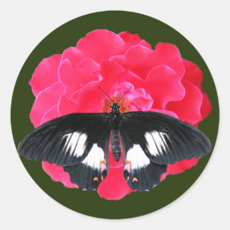 Adesivo Redondo Rosa e Swallowtail