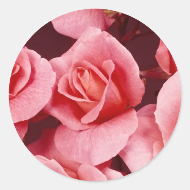 Adesivo Redondo Rosa Elegance Sticker (Frente)
