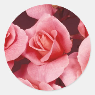 Adesivo Redondo Rosa Elegance Sticker