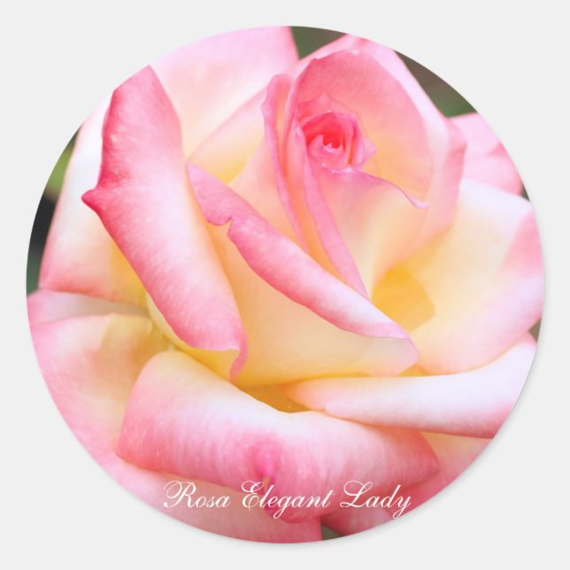 Adesivo Redondo Rosa Elegant Lady [Round Seal] (Frente)