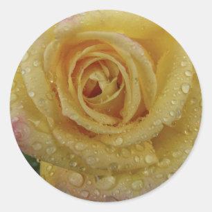 Adesivo Redondo Rosa-Etiqueta amarela