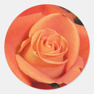 Adesivo Redondo Rosa laranja