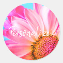 Rosa margarida rosa flor azul-rosa rosa-rosa giro