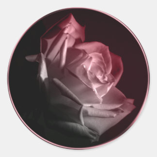 Adesivo Redondo Rosa no Selo de Envelope de Casamento Bloom