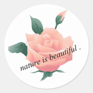 Adesivo Redondo Rosa (Peach) - Natureza bonita
