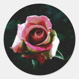 Adesivo Redondo Rosa Pintada a Óleo
