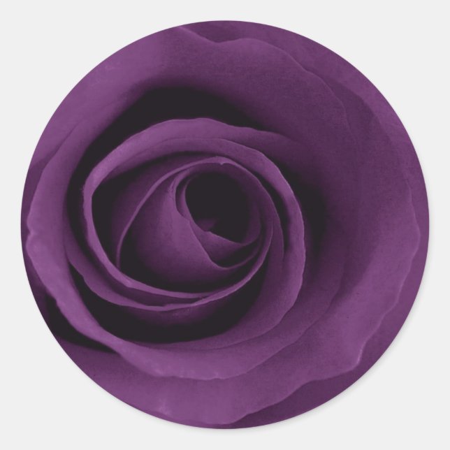 Adesivo Redondo Rosa púrpura (Frente)