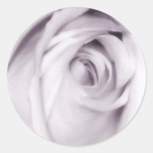 Adesivo Redondo rosa púrpura