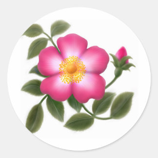 Adesivo Redondo Rosa Romântico selvagem