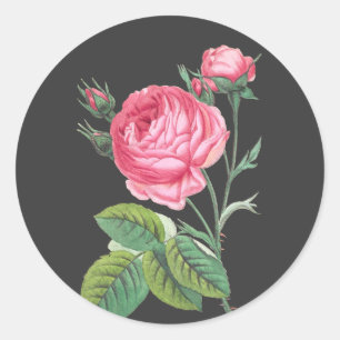 Adesivo Redondo Rosa rosa floral moderno