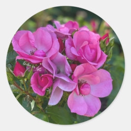 Adesivo Redondo Rosa Rosa Lavanda