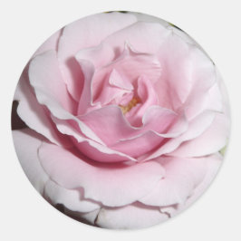 Adesivo Redondo Rosa Rosa Rosa