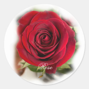 Adesivo Redondo Rosa Sticker Envelope Seals
