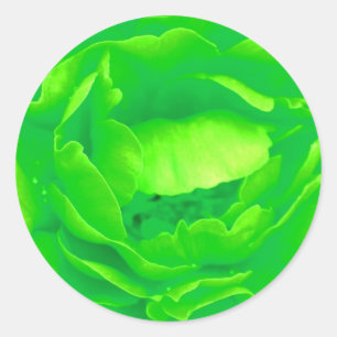 Adesivo Redondo Rosa Verde - Personalizável