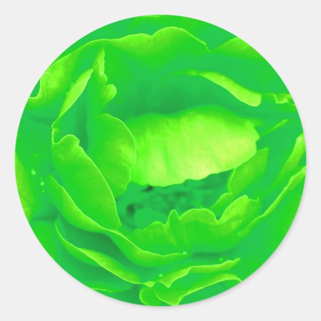 Adesivo Redondo Rosa Verde - Personalizável (Frente)