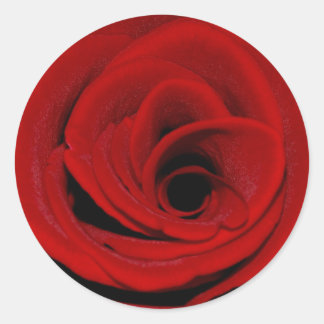 Adesivo Redondo Rosa vermelha