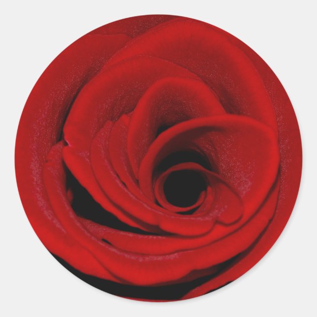 Adesivo Redondo Rosa vermelha (Frente)