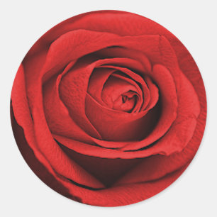 Adesivo Redondo Rosa Vermelha Branca (Qualquer Cor) Casamento Rúst