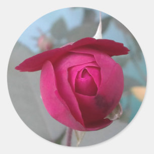 Adesivo Redondo Rosa vermelha romântica