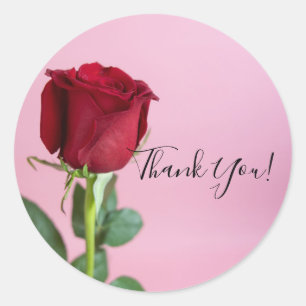 Adesivo Redondo Rosa Vermelha sobre Rosa Elegante Romântico