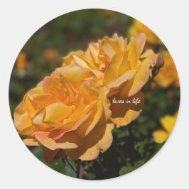 Adesivo Redondo Rosas Amarelas