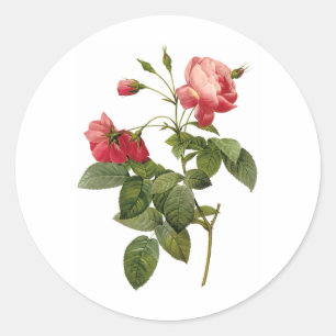 Adesivo Redondo Rosas Bonito