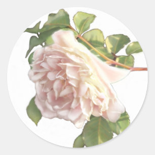 Adesivo Redondo Rosas de marfim