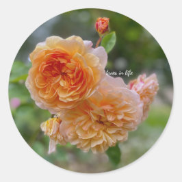 Adesivo Redondo Rosas de Pêssego também