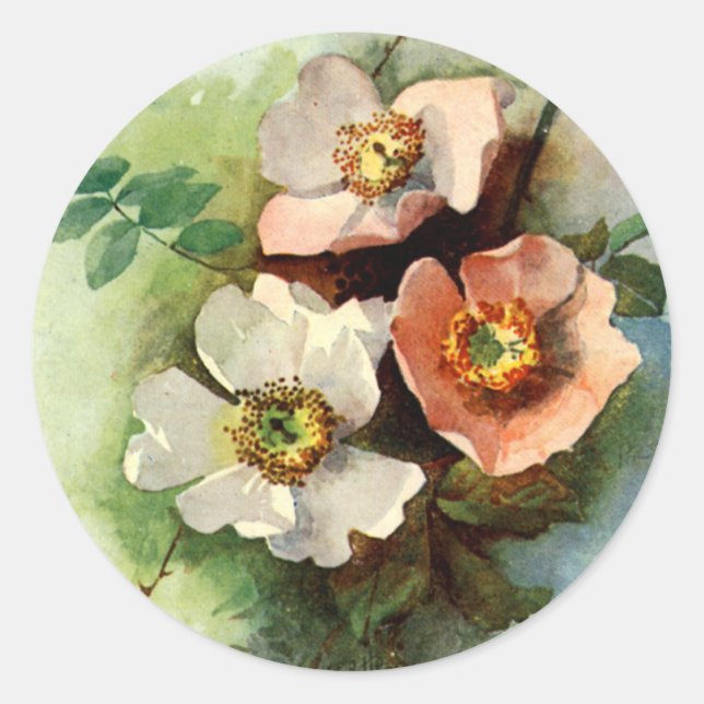 Adesivo Redondo Rosas na Vinha - Vinheta (Frente)