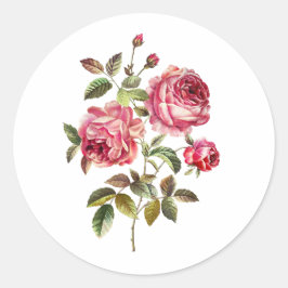 Adesivo Redondo Rosas Pink Suaves em Fundo Branco