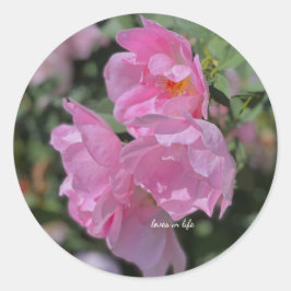 Adesivo Redondo Rosas Rosas claro adoráveis