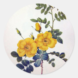 Adesivo Redondo Rosas Selvagens Amarelas, Pierre Joseph Redouté