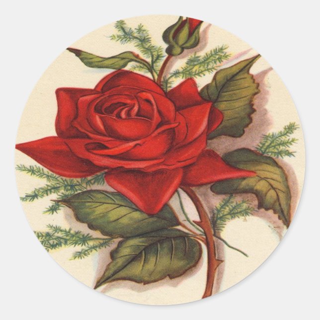 Adesivo Redondo Rosas vermelhas (Frente)