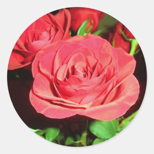 Adesivo Redondo Rosas vermelhas (Frente)