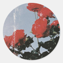 Adesivo Redondo Rosas Vermelhas Antigas Contra um Céu Azul