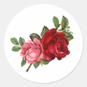 Adesivo Redondo Rosas vermelhas rosadas elegantes vintage