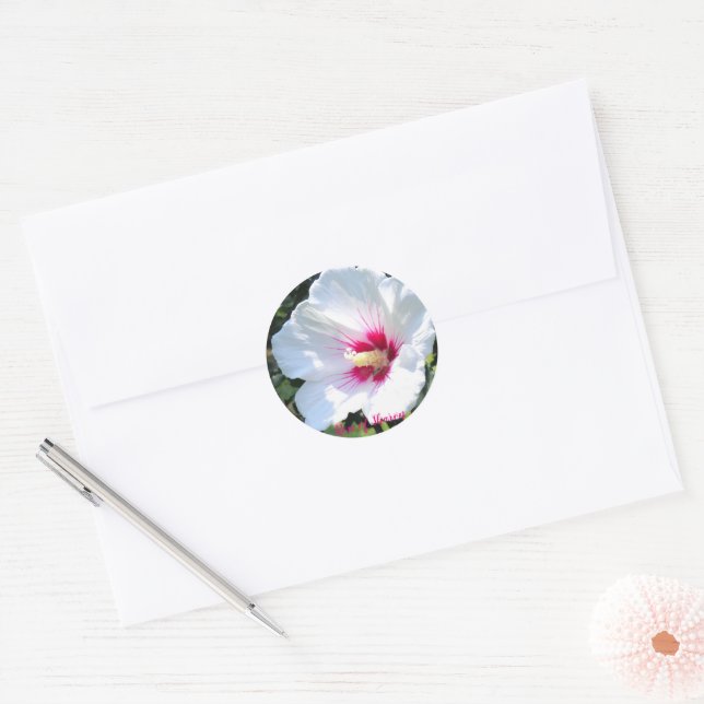 Adesivo Redondo Rose of Sharon [Round Seal] (Envelope)