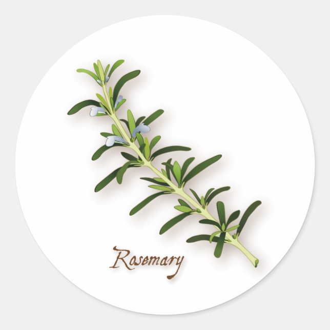 Adesivo Redondo Rosemary Herb Round Stickers (Frente)