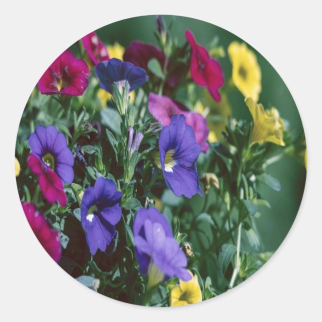 Adesivo Redondo roses are smart (Frente)